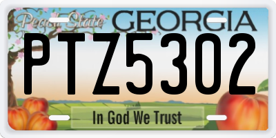 GA license plate PTZ5302