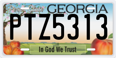 GA license plate PTZ5313