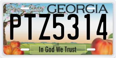 GA license plate PTZ5314