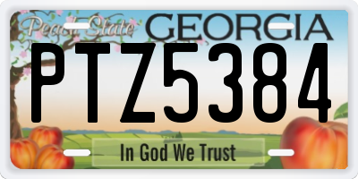 GA license plate PTZ5384