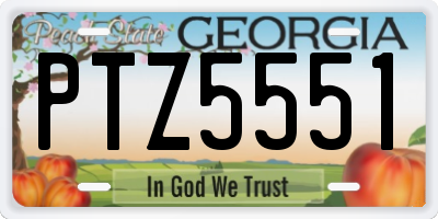 GA license plate PTZ5551