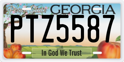 GA license plate PTZ5587
