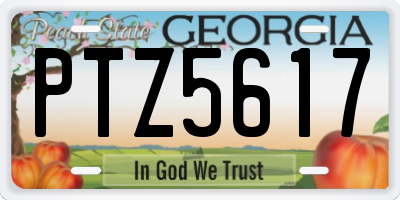 GA license plate PTZ5617