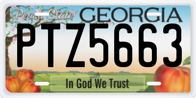 GA license plate PTZ5663