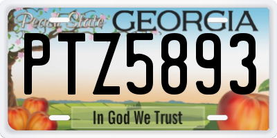 GA license plate PTZ5893