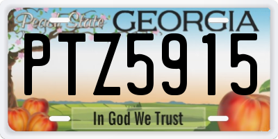 GA license plate PTZ5915