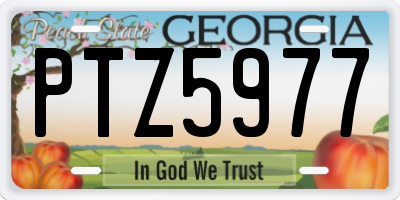 GA license plate PTZ5977