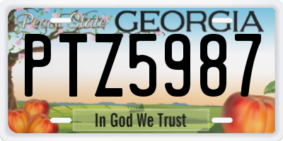 GA license plate PTZ5987