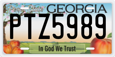 GA license plate PTZ5989