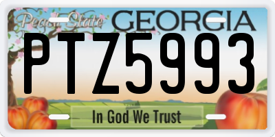 GA license plate PTZ5993
