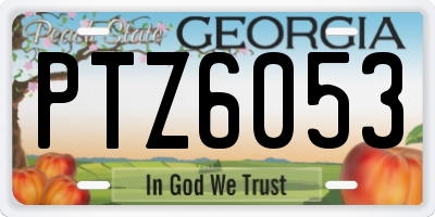 GA license plate PTZ6053