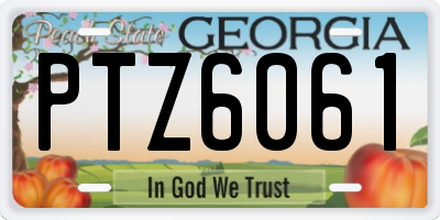 GA license plate PTZ6061
