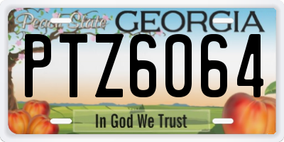 GA license plate PTZ6064
