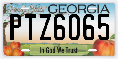GA license plate PTZ6065