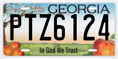 GA license plate PTZ6124