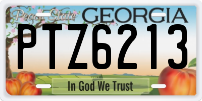 GA license plate PTZ6213