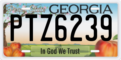 GA license plate PTZ6239