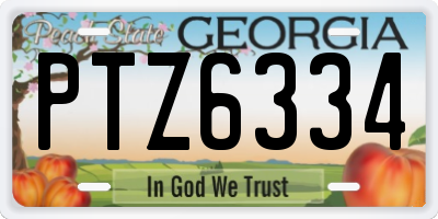 GA license plate PTZ6334
