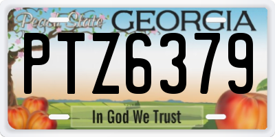 GA license plate PTZ6379