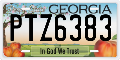 GA license plate PTZ6383
