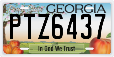GA license plate PTZ6437