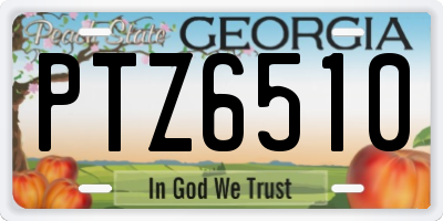 GA license plate PTZ6510