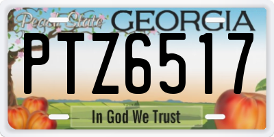 GA license plate PTZ6517