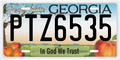 GA license plate PTZ6535