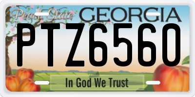 GA license plate PTZ6560