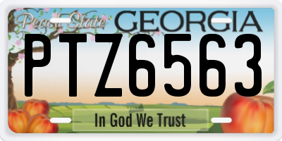 GA license plate PTZ6563