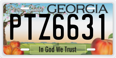 GA license plate PTZ6631