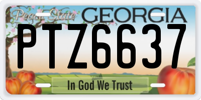 GA license plate PTZ6637