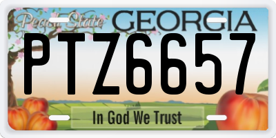 GA license plate PTZ6657