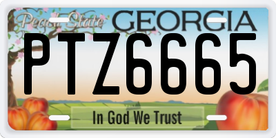 GA license plate PTZ6665