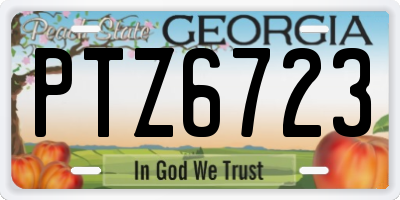 GA license plate PTZ6723