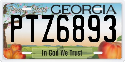 GA license plate PTZ6893
