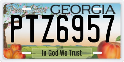 GA license plate PTZ6957
