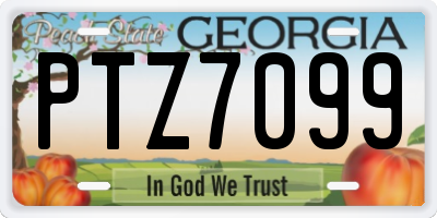 GA license plate PTZ7099