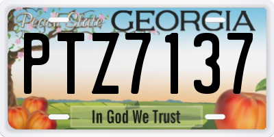 GA license plate PTZ7137