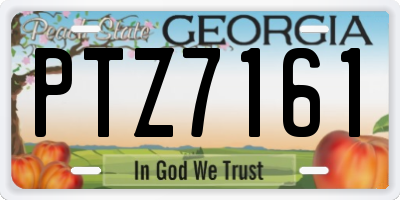 GA license plate PTZ7161