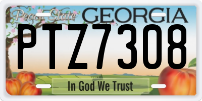 GA license plate PTZ7308