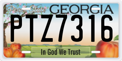 GA license plate PTZ7316