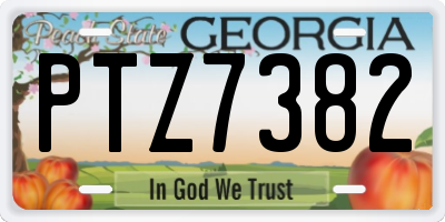 GA license plate PTZ7382