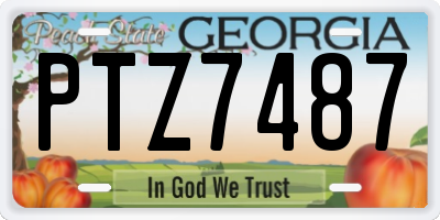 GA license plate PTZ7487