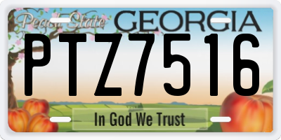 GA license plate PTZ7516