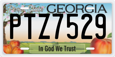 GA license plate PTZ7529
