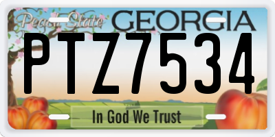 GA license plate PTZ7534