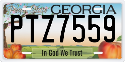 GA license plate PTZ7559