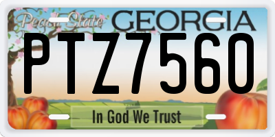 GA license plate PTZ7560