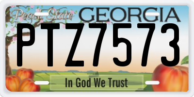 GA license plate PTZ7573